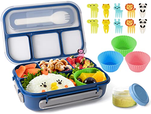 Best bento box in 2022 [Based on 50 expert reviews]